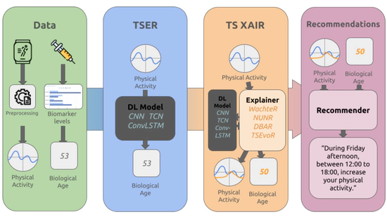 TSXAI - Explainable Deep Learning Time-Series Extrinsic Regression Methods in Health